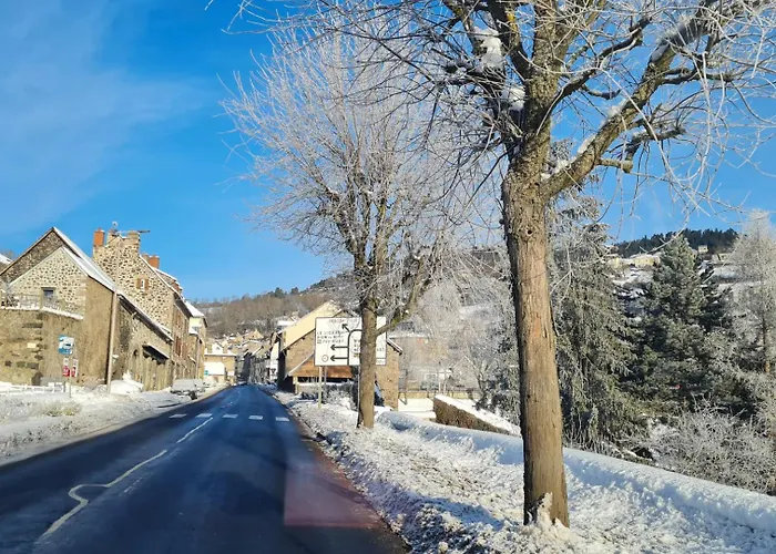 Bel Appartement « Les Monts Du Cantal »