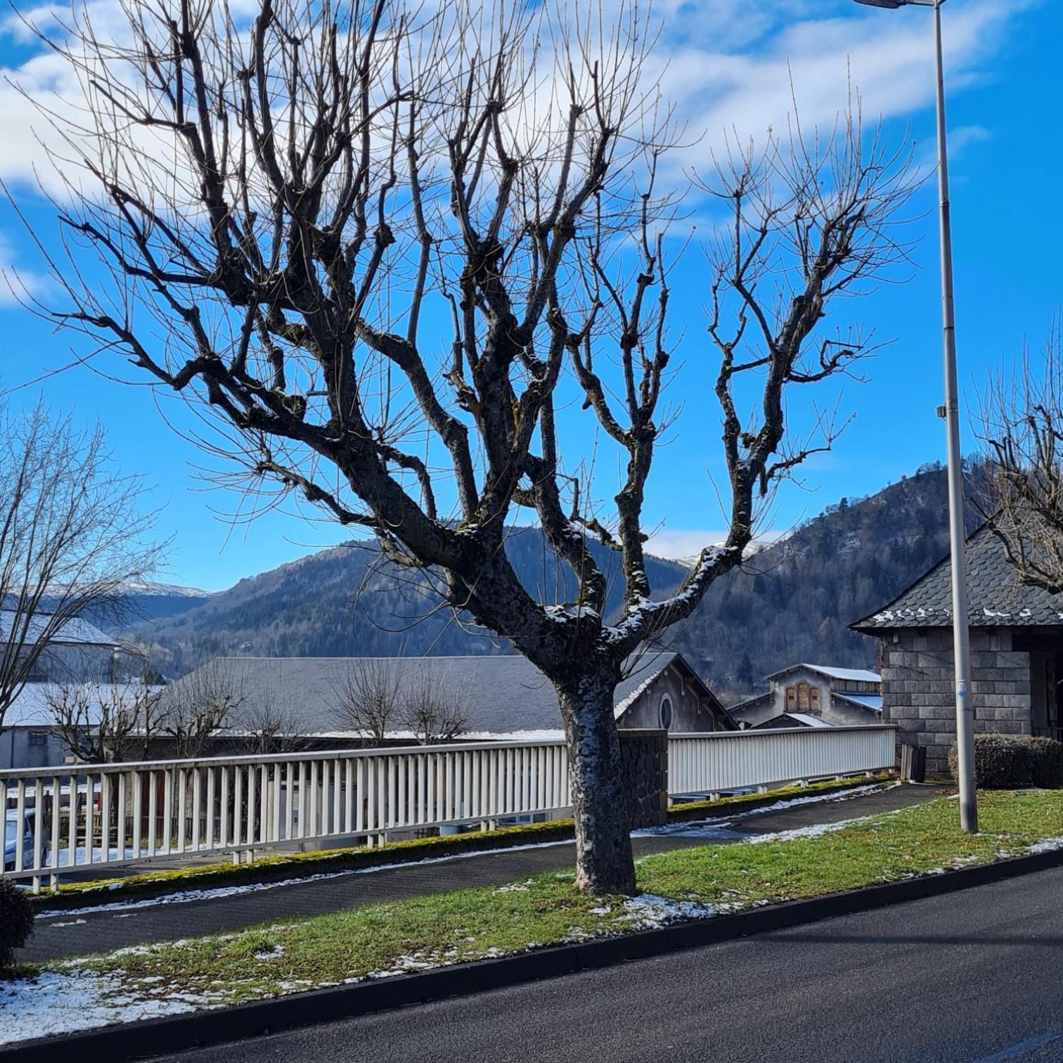 Apartment Bel « les Monts Du Cantal » *